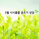 3월 시시콜콜 글쓰기 상담 이미지