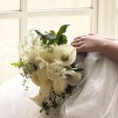장미 | W10. “꽃술예” 가성비 촬영 부케 (실바핑크장미,카라장미) 후기