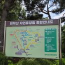 법왕사 - 1342 | 천안가볼만한곳 태학산 자연휴양림 주차, 태학사 법왕사 코스