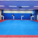 신정 태권도장 이미지