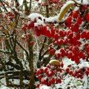 스마일 스토리 이미지