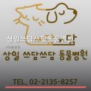 상일 쓰담쓰담 동물병원 네이버블로그