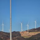 알콩달콩민박 | 평창 청년 단체 오후3시와 함께한 청년 리턴 프로젝트 로그인평창 팸투어 1기 후기