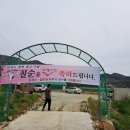 달마고도민박 이미지