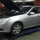 프로카센타 이미지