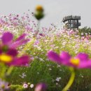 생태공원농장 이미지