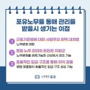 포유노사컨설팅