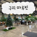 석류애견 | 구리 애견 동반 카페 “마루빈” 내 돈 내산 후기