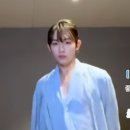 브이모멘텀
