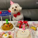 러브더모어 이미지