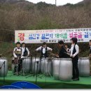 백운면 벚꽃길 이미지