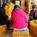 상주곶감직판장