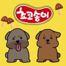 아띠라미애견용품미용
