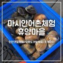 마시안어촌체험·휴양마을 | [마시안어촌체험휴양마을] 영종도 마시안해변 조개잡이 갯벌체험 후기