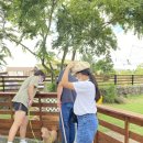 제주펫스쿨 이미지