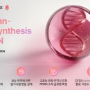 HOT ISSUE_"코스맥스" PDRN 생산 경로 다각화 이미지