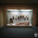 경성대학교박물관 이미지