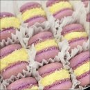 [서부] 제과제빵기능사 준비과정(2025) | 강서구제과제빵학원 에서 마카롱 자격증 준비했어요! AFA 마스터 수업 후기