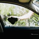 따봉세차장 이미지