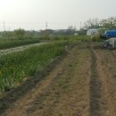 천왕농장 이미지