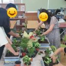 힐링 미니 이미지