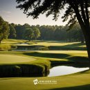 타미우스골프연습장 이미지