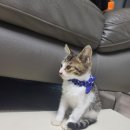 재송동물병원 이미지