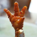화신닭발 - 진주시 하대동 | 화신닭발