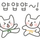 용인대석사비전태권도 이미지