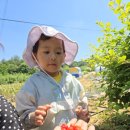 순성어린이집 이미지