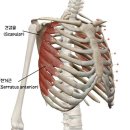 헬스보이짐 | 문정역PT 헬스보이짐 필라걸 박근만 트레이너 여자 상체 후기