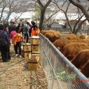 경순농장 이미지