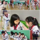 신화정 태권도 이미지