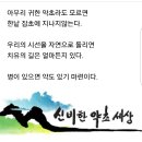 평일 나물 산행 동반자 구함 이미지