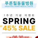 푸른힐동물병원 이미지