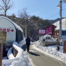 응골농장 이미지