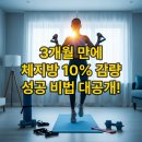 내 몸을 깨우는 홈트레이닝 | 내가 직접 해본 3개월: 홈트레이닝으로 체지방 10% 감량 성공! 솔직 후기 및 비법