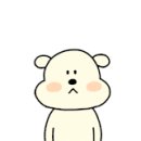 오늘의댕댕