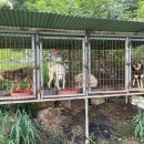 정한농장 이미지