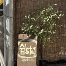 쉼371 | 양평 파티룸 쉼stay 후기 | 용문역 근처 채광 좋은 감성 가득한 공간, 1박도 가능한 프라이빗한 공간 추천