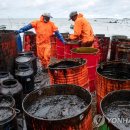 (주)모리셔스 이미지