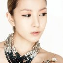 보아 PC 이미지