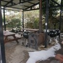 홍스랜드 이미지