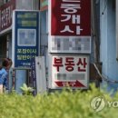 최윤정부동산