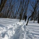 조은사람들 이미지