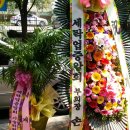 백조 명품 세탁 이미지