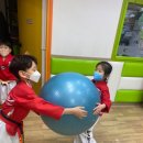 해빛태권도장 이미지