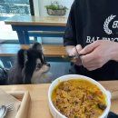 멍멍플레이스펜션 이미지