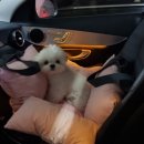 몽크의 아뜰리에 네이버블로그