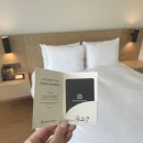 KT&G 상상마당 부산미술관 이미지